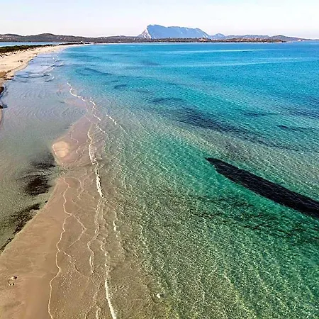 호텔 In With Swimming Pool In Cala Girgolu